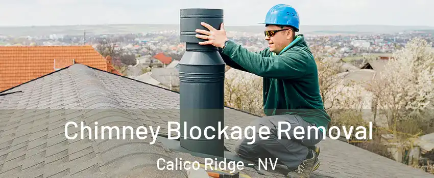 Chimney Blockage Removal Calico Ridge - NV