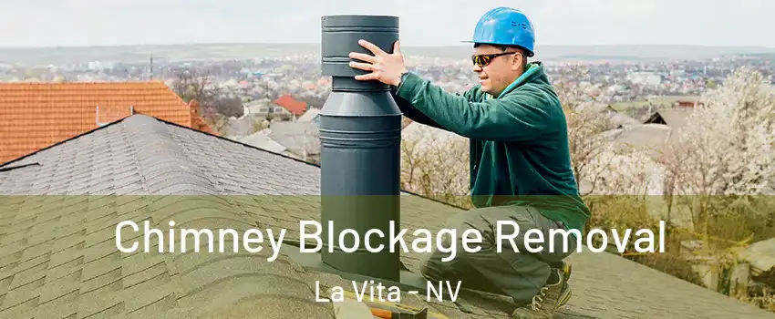 Chimney Blockage Removal La Vita - NV