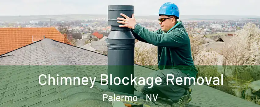 Chimney Blockage Removal Palermo - NV