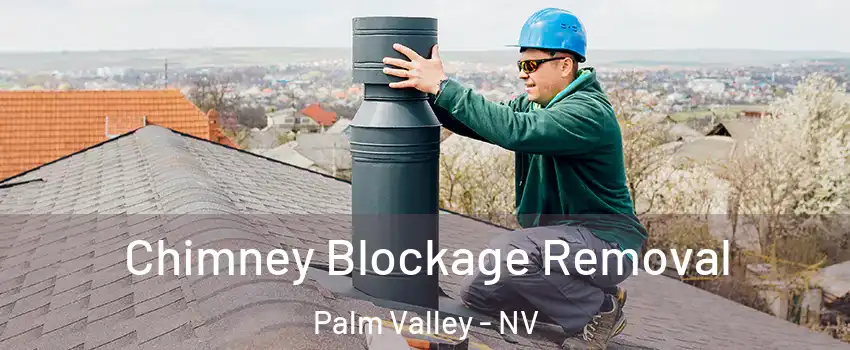 Chimney Blockage Removal Palm Valley - NV