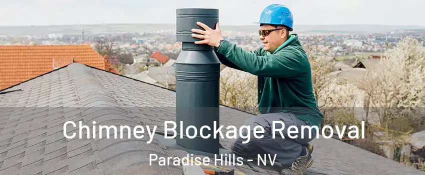 Chimney Blockage Removal Paradise Hills - NV