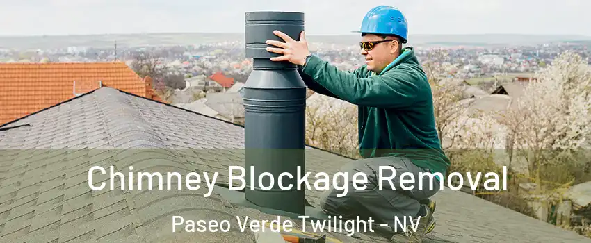 Chimney Blockage Removal Paseo Verde Twilight - NV