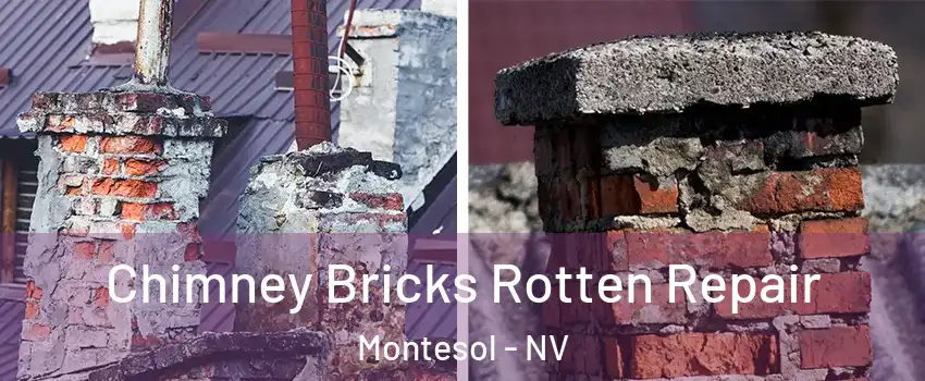 Chimney Bricks Rotten Repair Montesol - NV