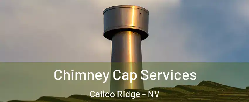 Chimney Cap Services Calico Ridge - NV