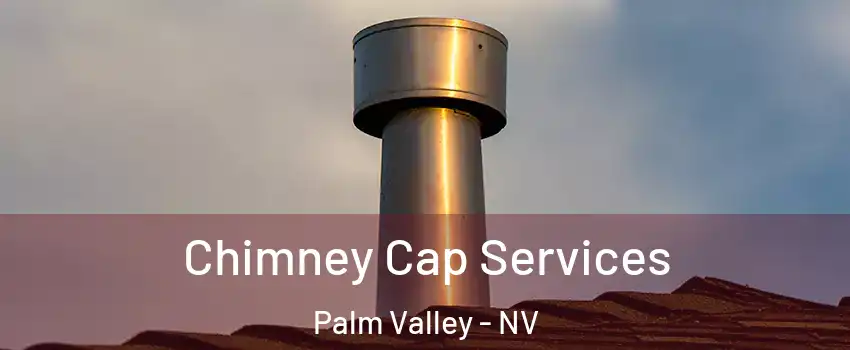 Chimney Cap Services Palm Valley - NV