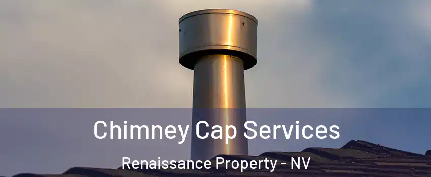 Chimney Cap Services Renaissance Property - NV