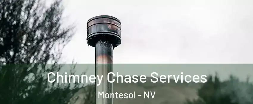 Chimney Chase Services Montesol - NV