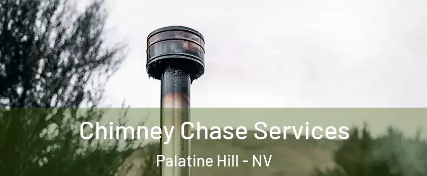 Chimney Chase Services Palatine Hill - NV