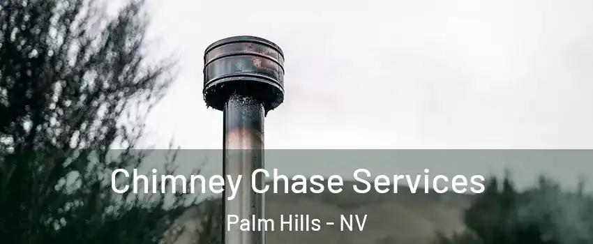 Chimney Chase Services Palm Hills - NV