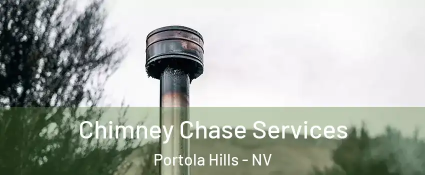 Chimney Chase Services Portola Hills - NV