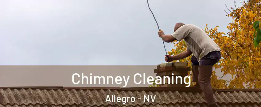Chimney Cleaning Allegro - NV