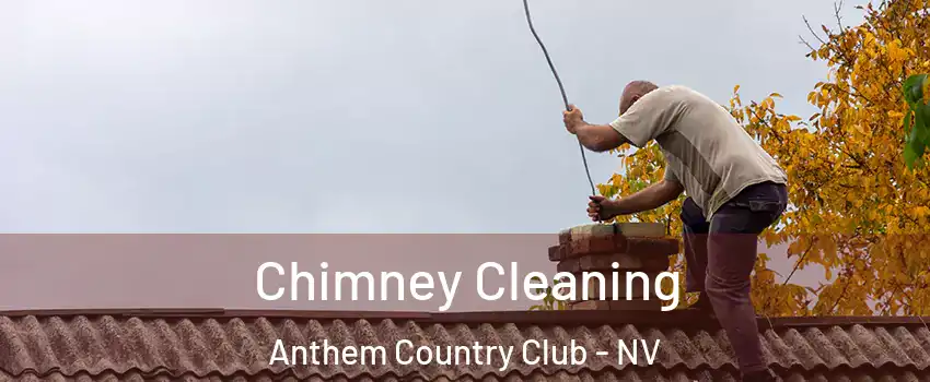 Chimney Cleaning Anthem Country Club - NV