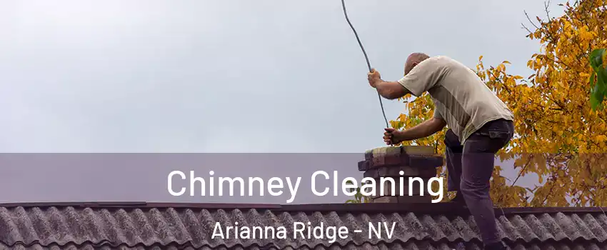 Chimney Cleaning Arianna Ridge - NV