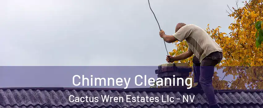 Chimney Cleaning Cactus Wren Estates Llc - NV