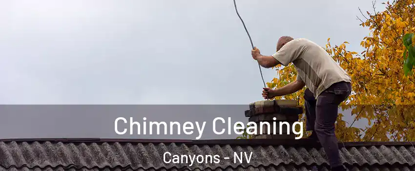 Chimney Cleaning Canyons - NV