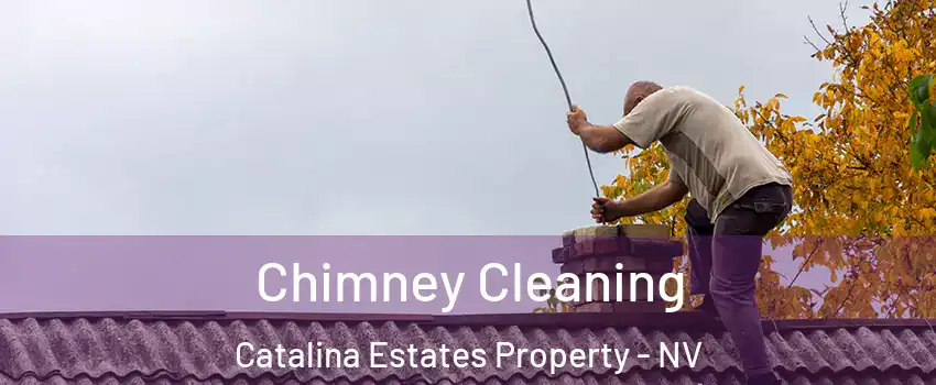 Chimney Cleaning Catalina Estates Property - NV