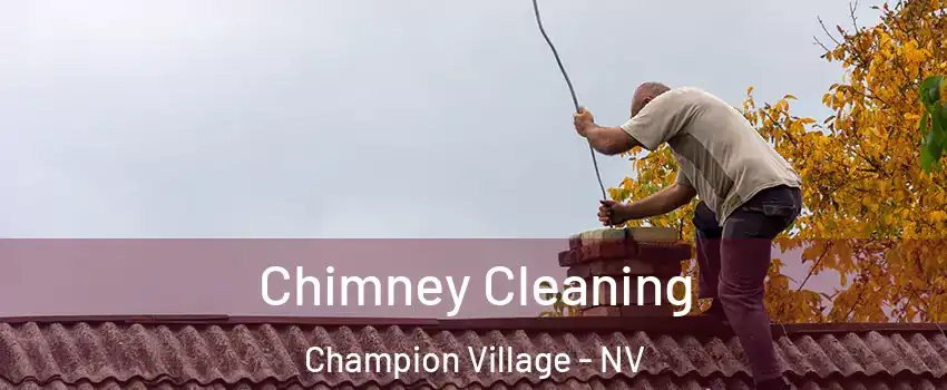 Chimney Cleaning Champion Village - NV