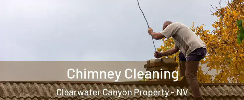 Chimney Cleaning Clearwater Canyon Property - NV