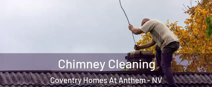 Chimney Cleaning Coventry Homes At Anthem - NV