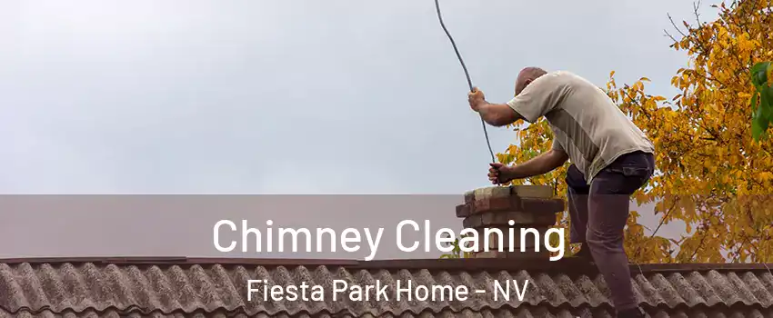 Chimney Cleaning Fiesta Park Home - NV