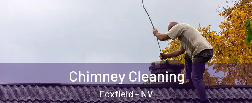 Chimney Cleaning Foxfield - NV