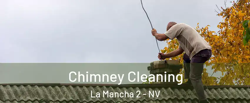 Chimney Cleaning La Mancha 2 - NV