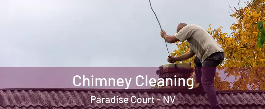 Chimney Cleaning Paradise Court - NV