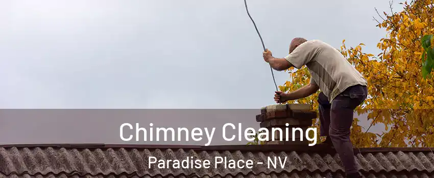 Chimney Cleaning Paradise Place - NV