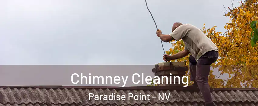 Chimney Cleaning Paradise Point - NV