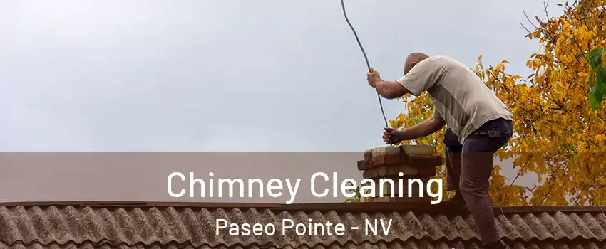 Chimney Cleaning Paseo Pointe - NV