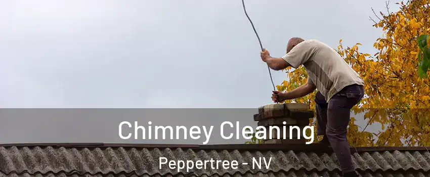 Chimney Cleaning Peppertree - NV