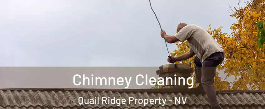Chimney Cleaning Quail Ridge Property - NV