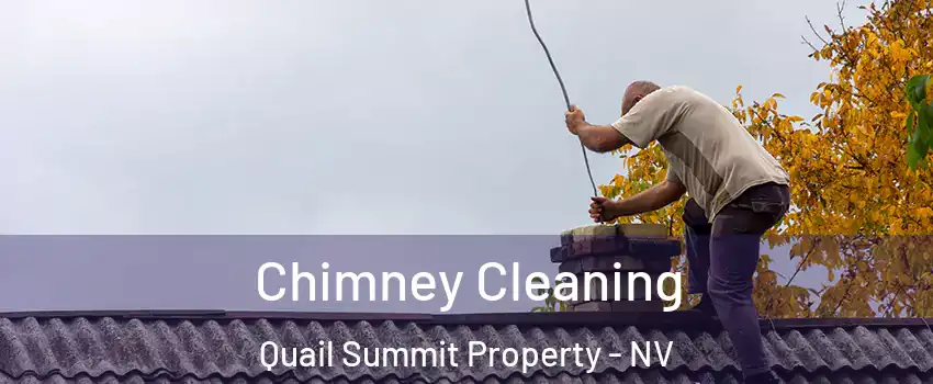 Chimney Cleaning Quail Summit Property - NV