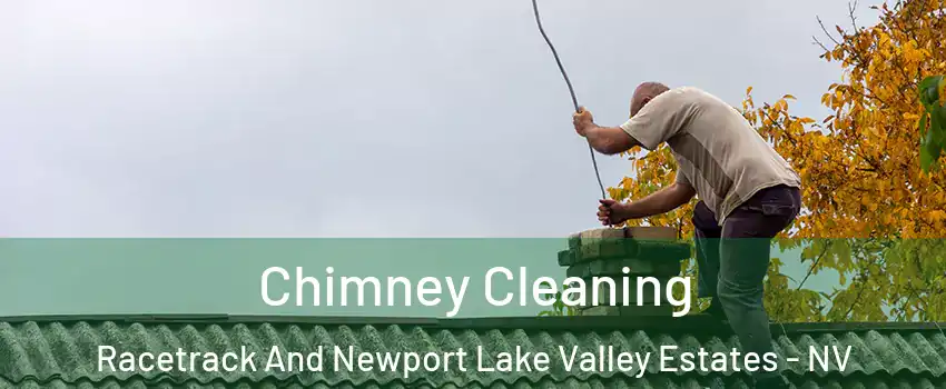 Chimney Cleaning Racetrack And Newport Lake Valley Estates - NV