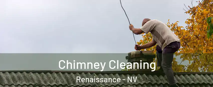 Chimney Cleaning Renaissance - NV