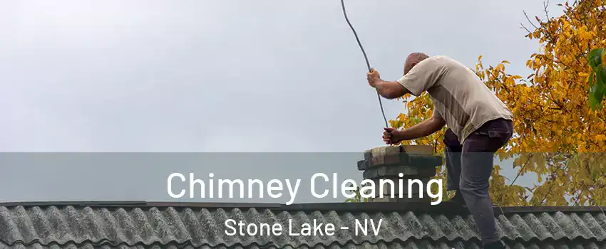 Chimney Cleaning Stone Lake - NV