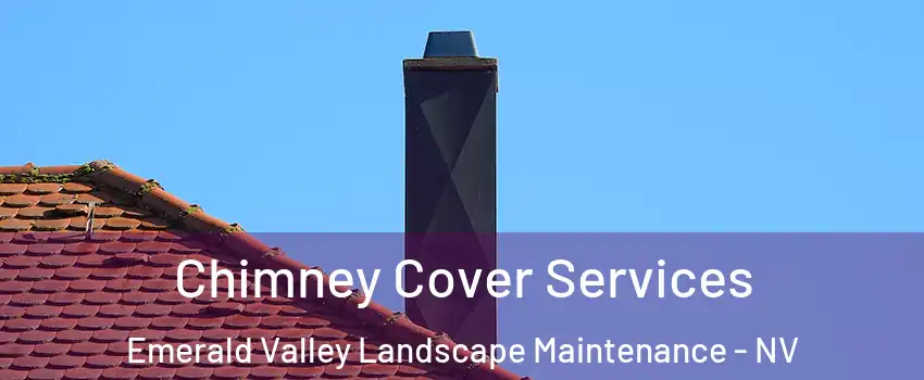 Chimney Cover Services Emerald Valley Landscape Maintenance - NV