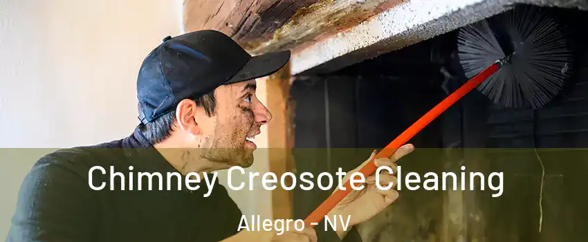 Chimney Creosote Cleaning Allegro - NV