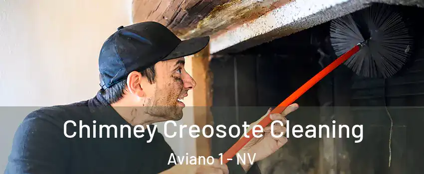 Chimney Creosote Cleaning Aviano 1 - NV