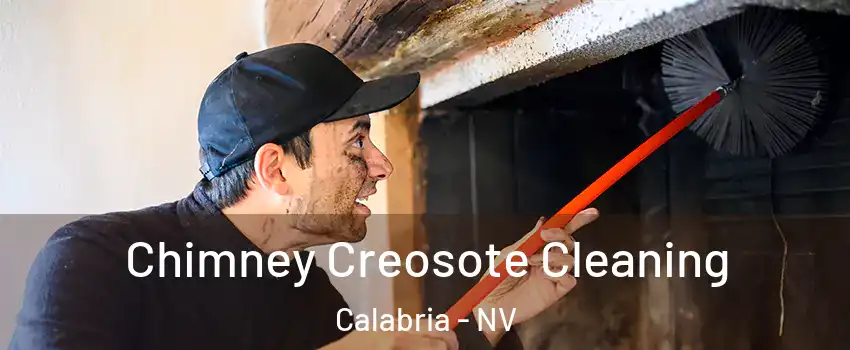 Chimney Creosote Cleaning Calabria - NV