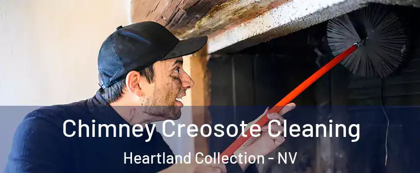 Chimney Creosote Cleaning Heartland Collection - NV