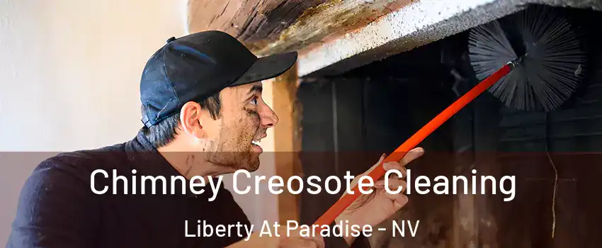 Chimney Creosote Cleaning Liberty At Paradise - NV