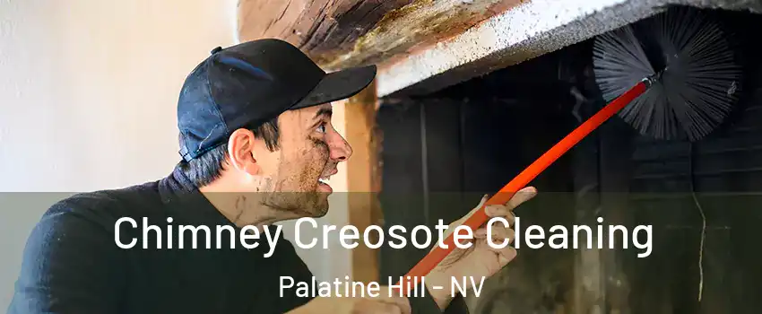 Chimney Creosote Cleaning Palatine Hill - NV