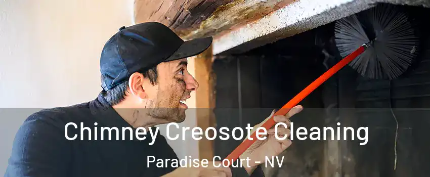 Chimney Creosote Cleaning Paradise Court - NV