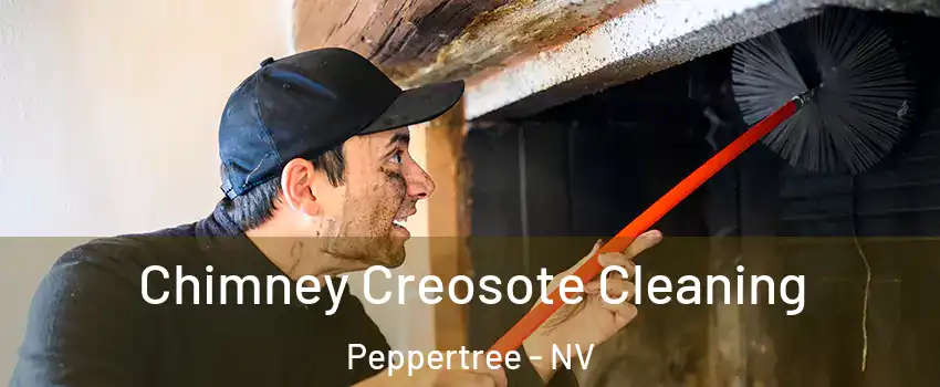 Chimney Creosote Cleaning Peppertree - NV