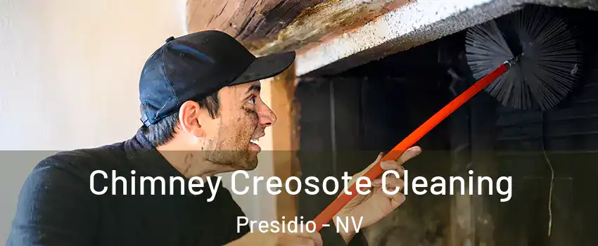 Chimney Creosote Cleaning Presidio - NV