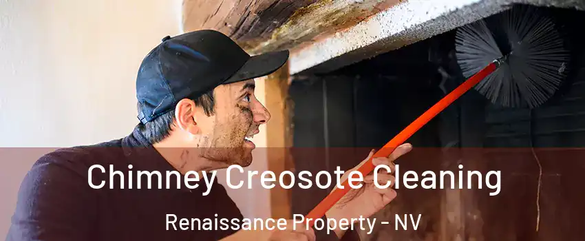 Chimney Creosote Cleaning Renaissance Property - NV