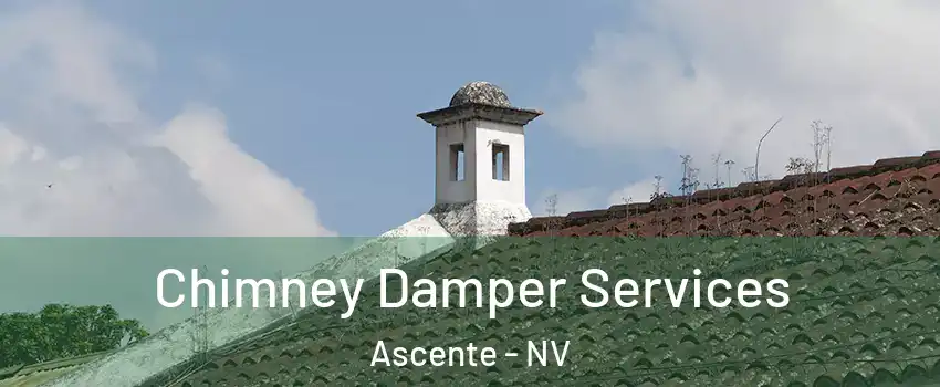 Chimney Damper Services Ascente - NV