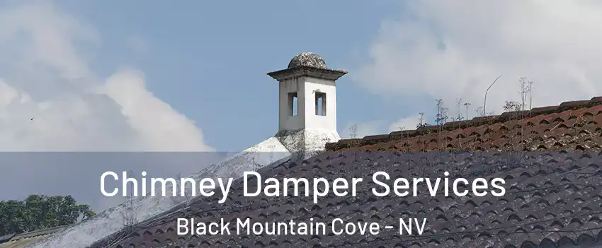 Chimney Damper Services Black Mountain Cove - NV