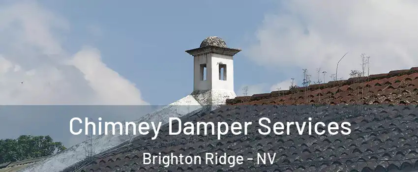 Chimney Damper Services Brighton Ridge - NV